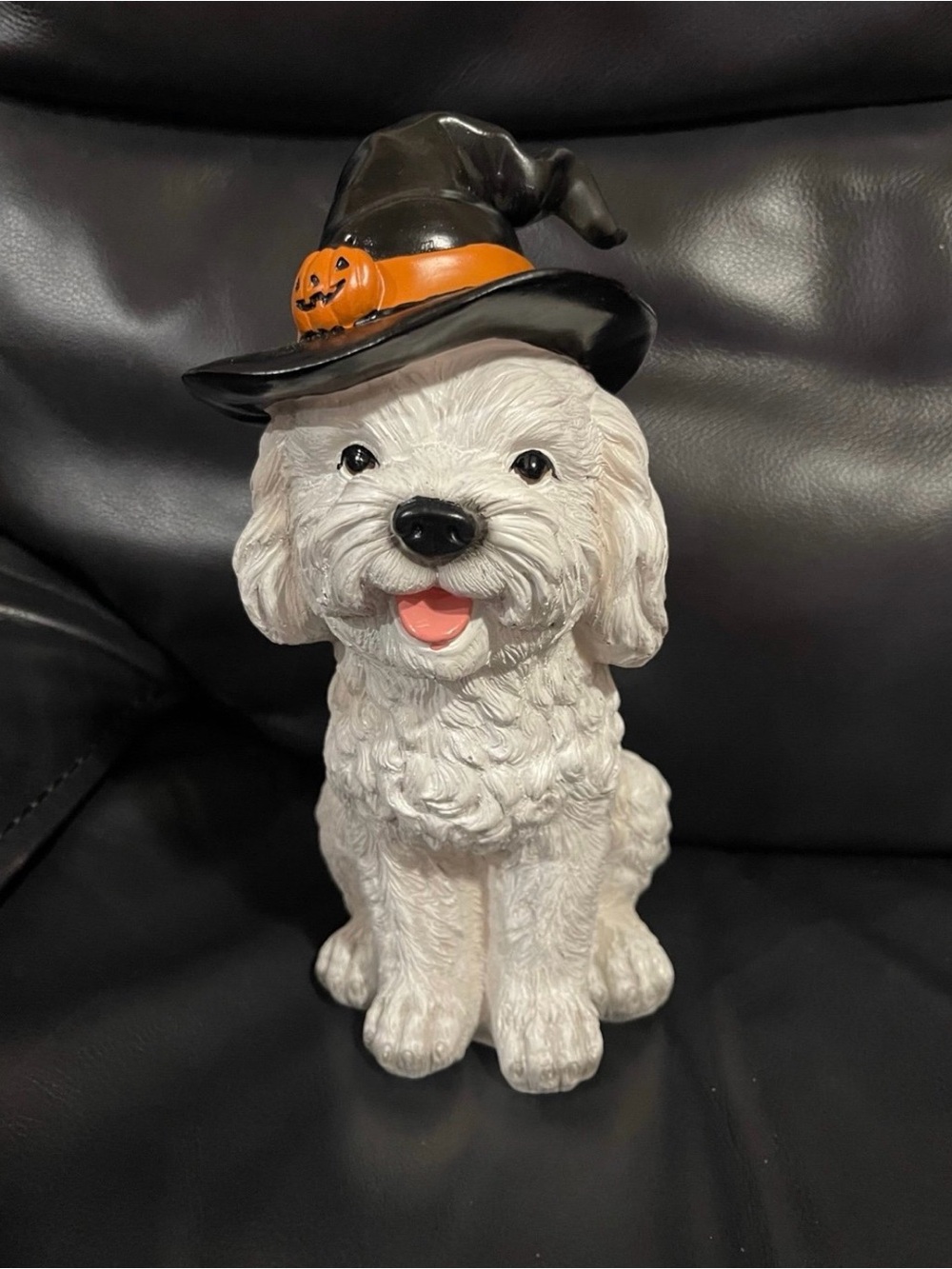 Halloween Dog Decor - Halloween Witch Dog Decor - Dog with Witch Hat